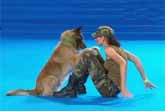 Deril And Lusy At The Dog Dance World Championship 2016